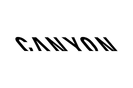 Գին